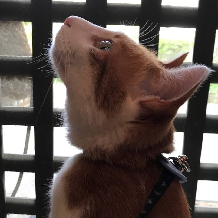 49cae9f0 34fb 46c7 bf18 e5ddd63f7107 1531475286166