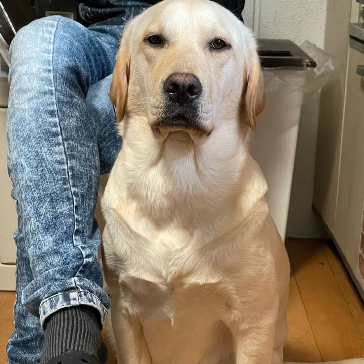 49cb004e 31b5 447e 91a7 b04af8fa4065 1648084070190