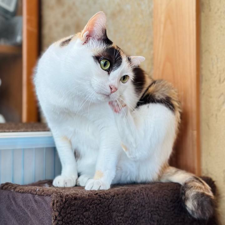 49cb0e7f df0e 48b4 8c63 cdd6f359441e 1694740534730