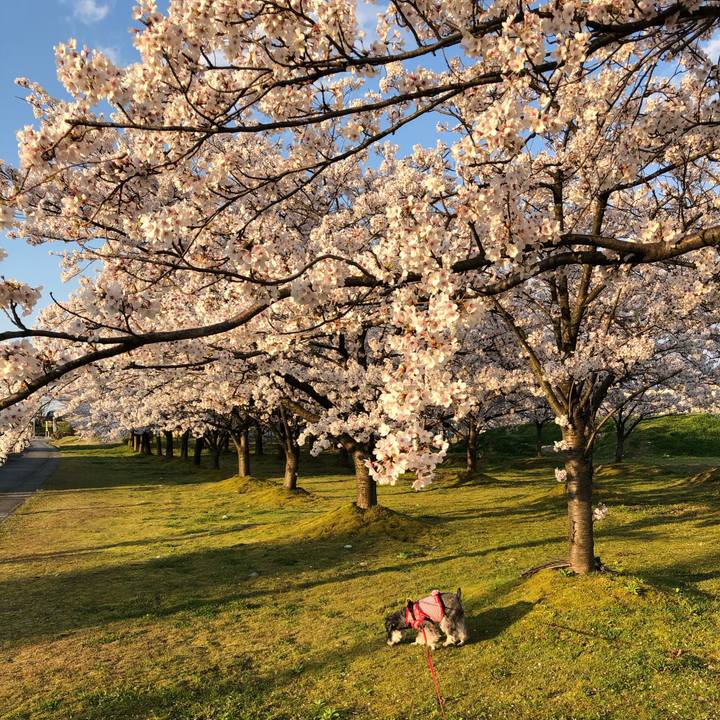 49cb2307 adc7 4f2d 8719 74e091986fd9 1586424569530