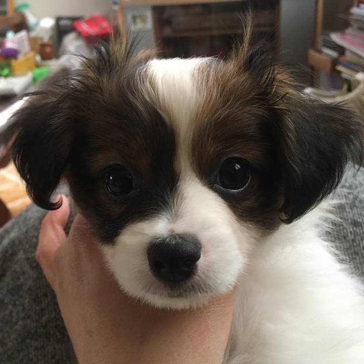 49cb28bf c0ea 4dbd a0e6 d4d103a62108 1647736736004