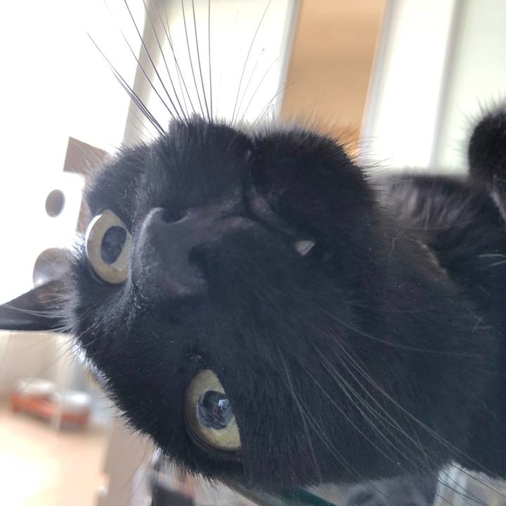 49cb3989 db14 44ff b4fc 1249f90e991d 1533343954165