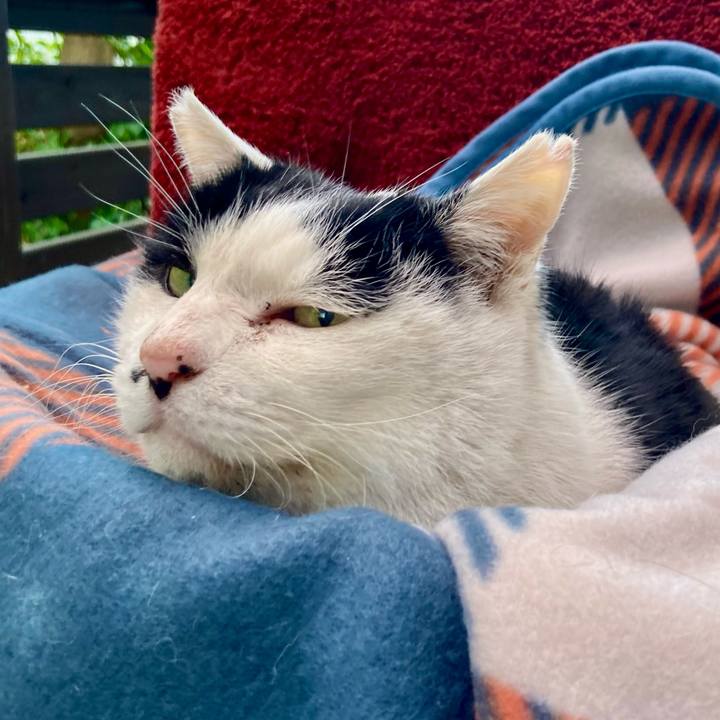 49cb4210 d6f2 4c52 8be1 883986bb82f3 1769853291192