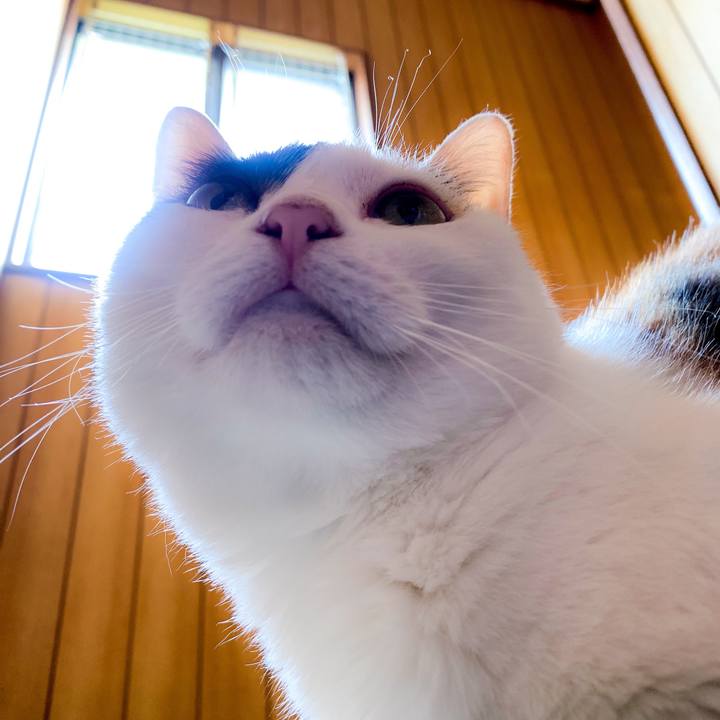 49cb57ec 9fac 4db6 b479 13e7d28f94e7 1563841408851