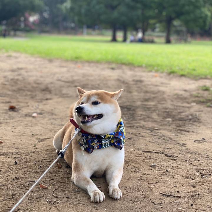 49cb75d5 b14f 48a3 8f04 a49ce33017ae 1598028126832