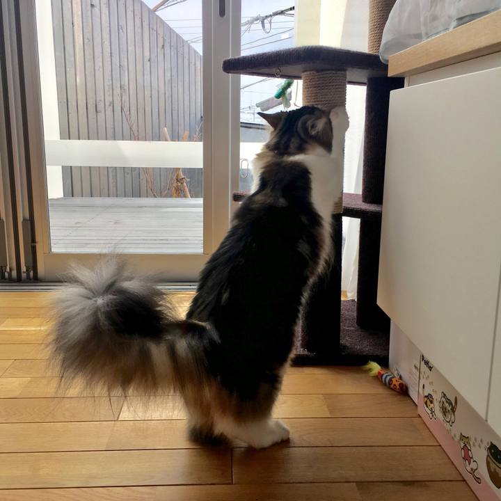 49cbb681 c0cc 4abe 908f 48789289ecca 1538817018888