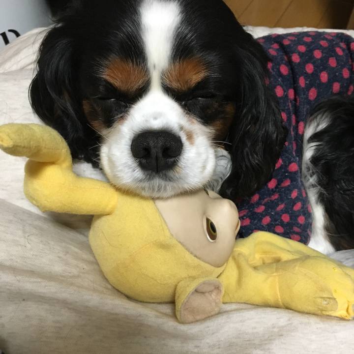 49cbb72d c8f7 4ec2 94fd 498be47019ea 1516089953111