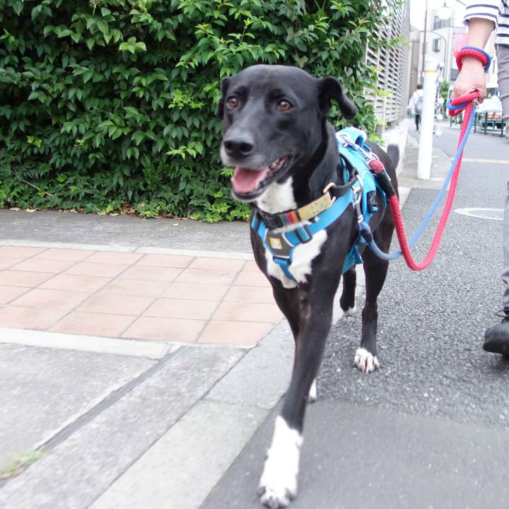 49cc11bc 8f96 4545 86ce a97217952729 1622026278606