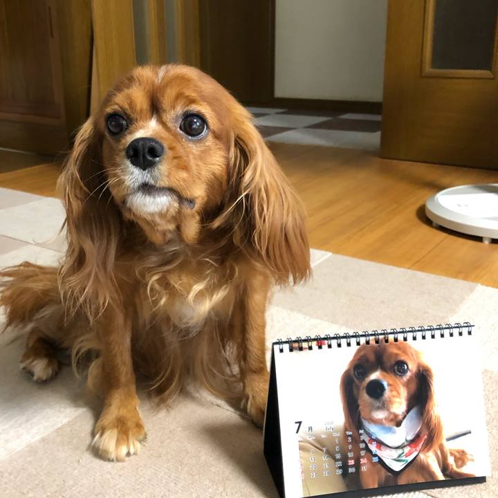 49cc136a 8e74 46c9 a79b a93addb8e9d9 1593552341940