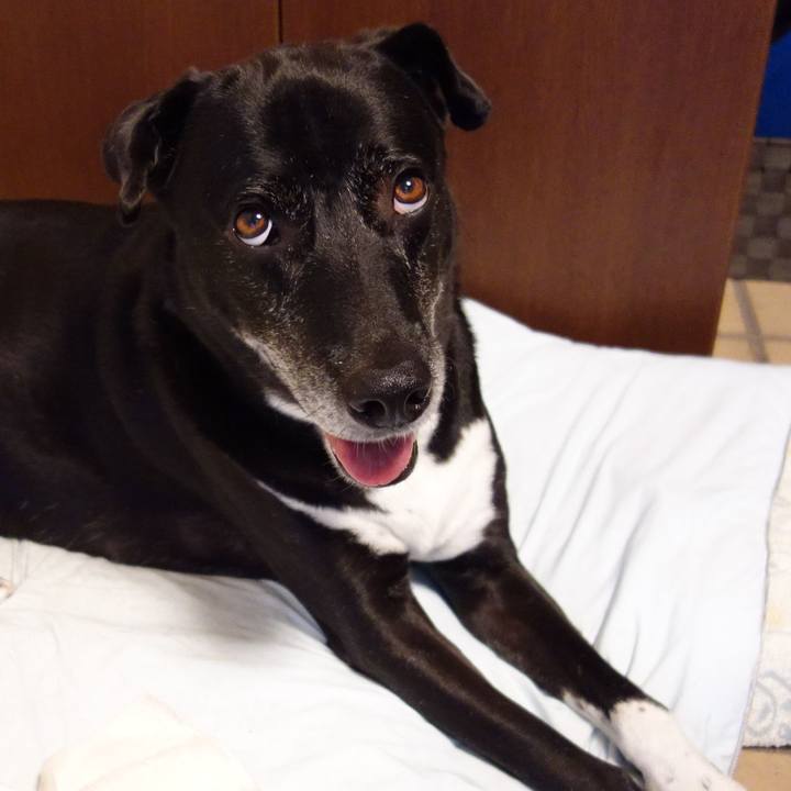 49cc3240 32f9 4e85 b2d3 9a4a684e635f 1723504703401