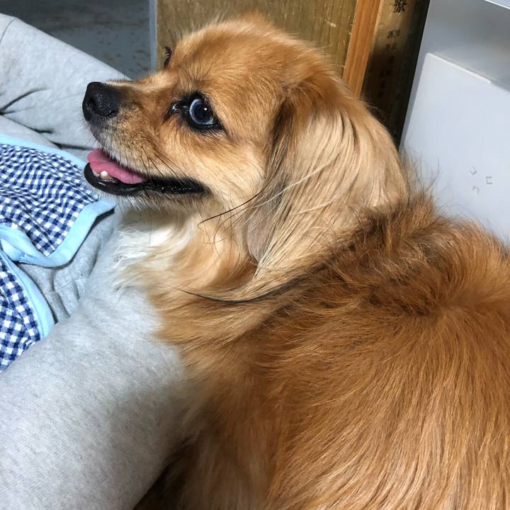 49cc3d76 c9ca 45b6 a819 22e2a26b65c1 1567900282805