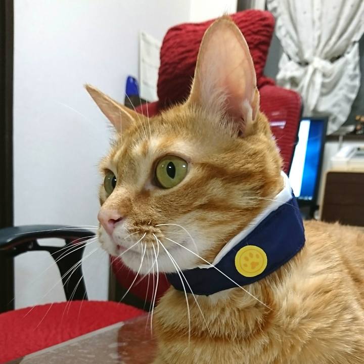 49cc7378 411c 405d 8c71 743ad8bc82d6 1532257828948