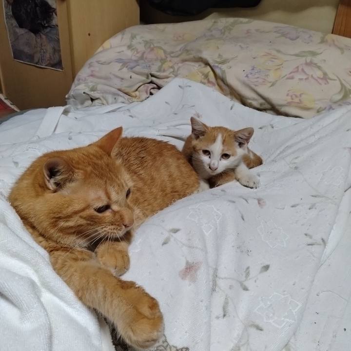 49cc90e5 d424 4fad b808 1c77fa16ec4d 1726926353797