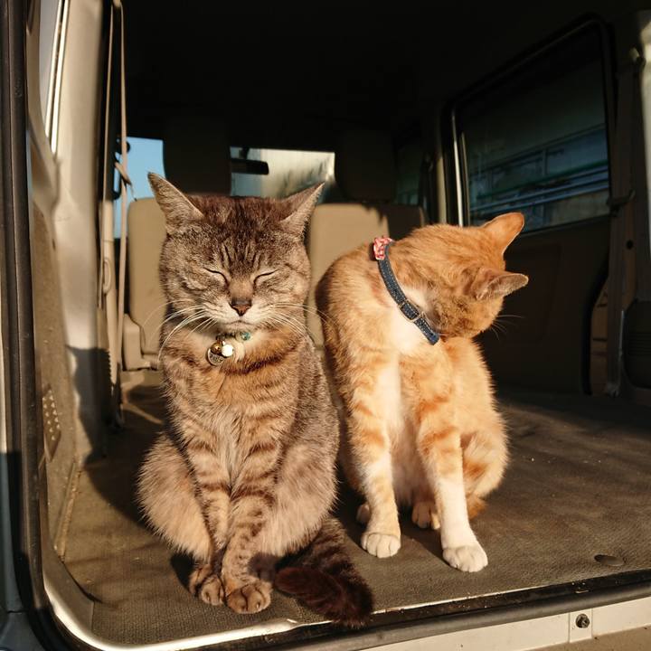 49cca06d 3802 41da 9017 8f4fc20e89a9 1558730718944