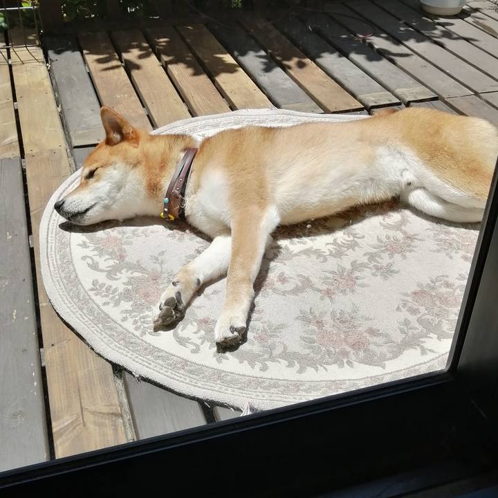 49cca1d4 f676 4a66 ae41 0d75fd58ab4d 1591755775163