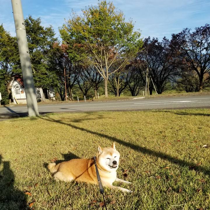 49ccac53 8f52 4948 900c 46e23841e74c 1697180599459