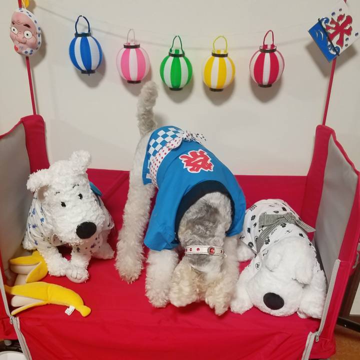 49ccd68e 9e48 48e6 8122 a5ae6d01bbfd 1565908931756