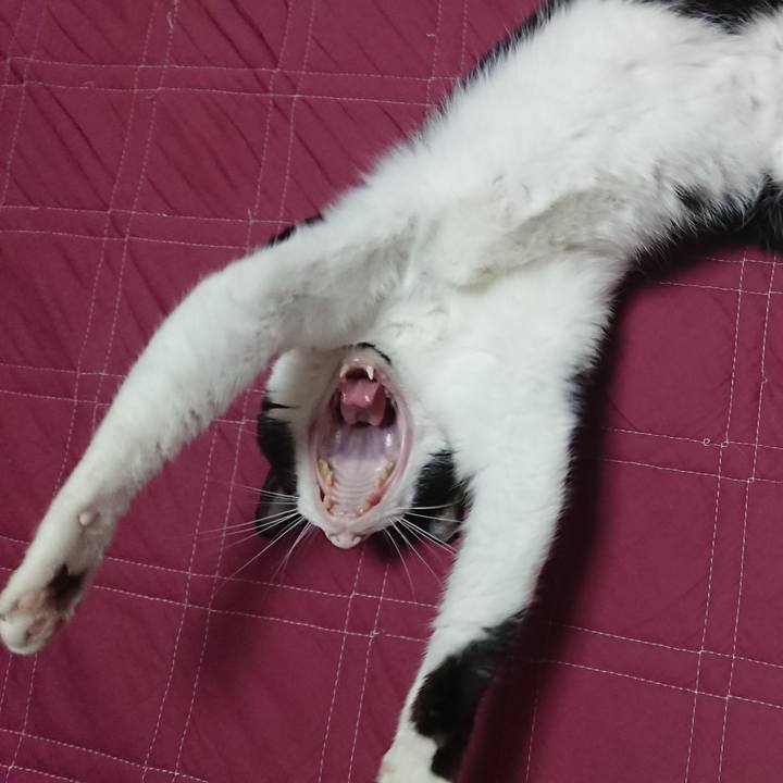 49ccd804 e3a6 4011 a10a fe8aad38a822 1620431381525