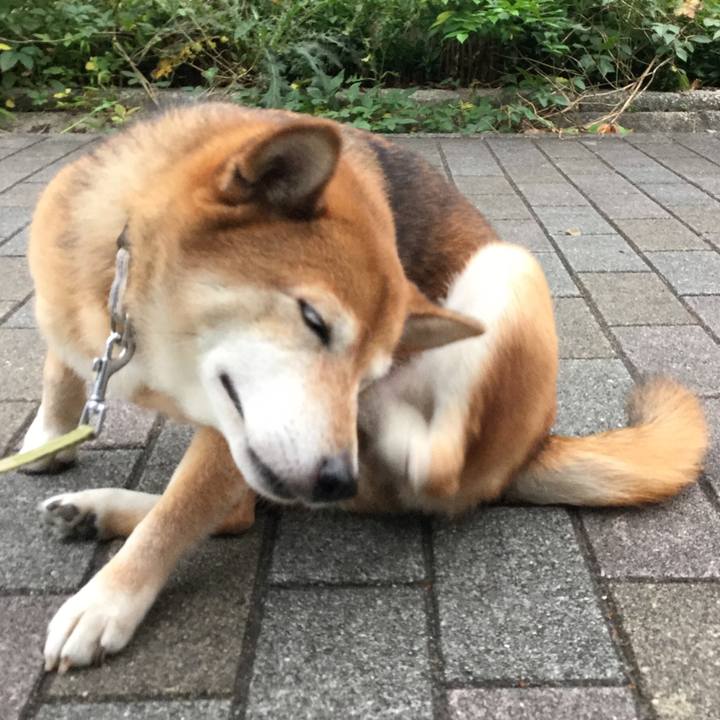 49ccdc90 826d 43bc 90ee 7b8d8c4509cd 1631439155479