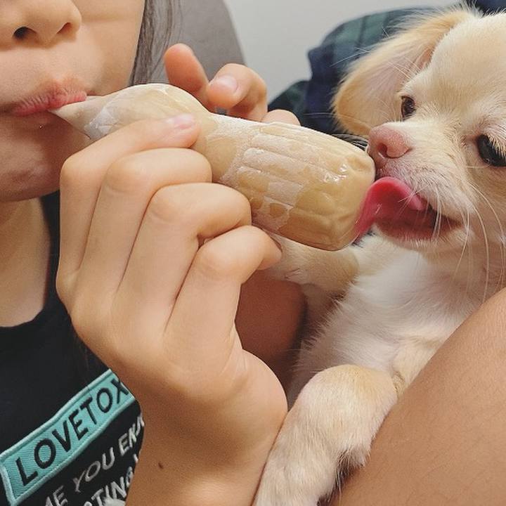 49cce940 023a 48a9 b522 626b9a76a6a5 1597833890764