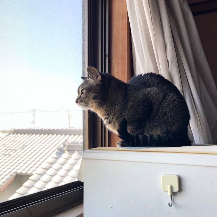 49cd0d55 66d5 4af9 aa3b c0cf77595843 1679620874298