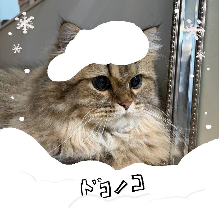 49cd1a6b 6406 4df5 bb81 57e540003854 1772359194657