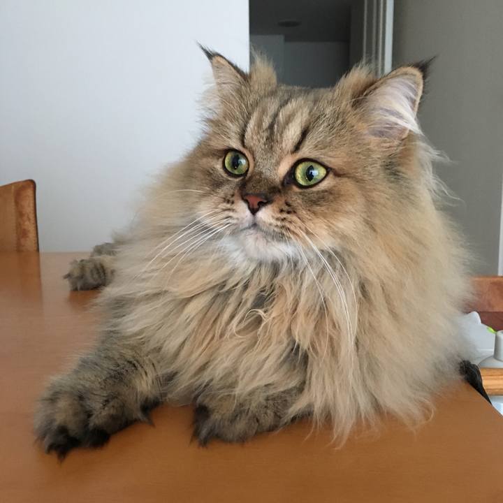 49cd23c9 3de9 422c 826e 6f7c5437c9a1 1508581525687