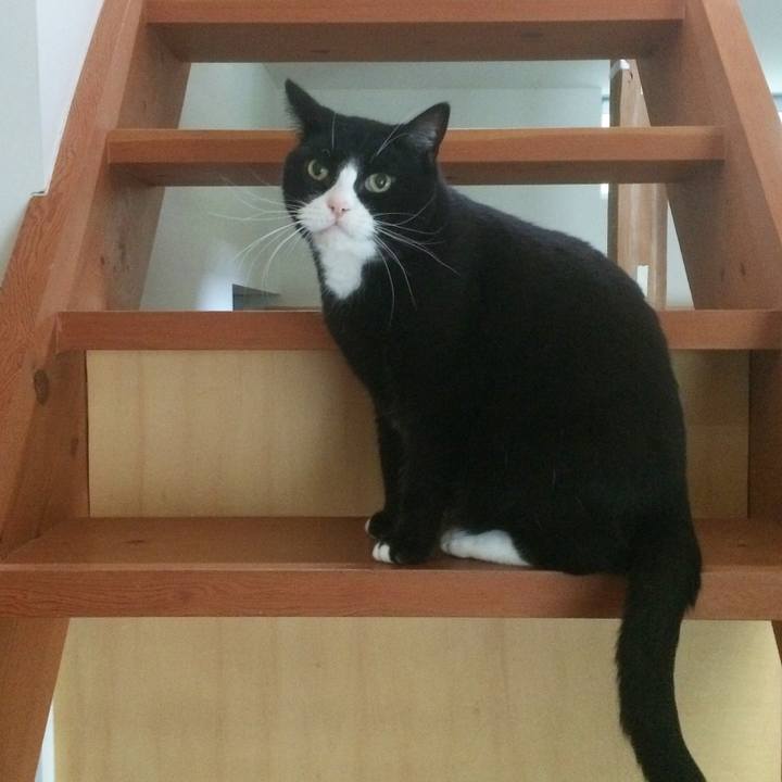 49cd2c3b 7987 40a0 ad09 e9b90d680f7f 1508764027739