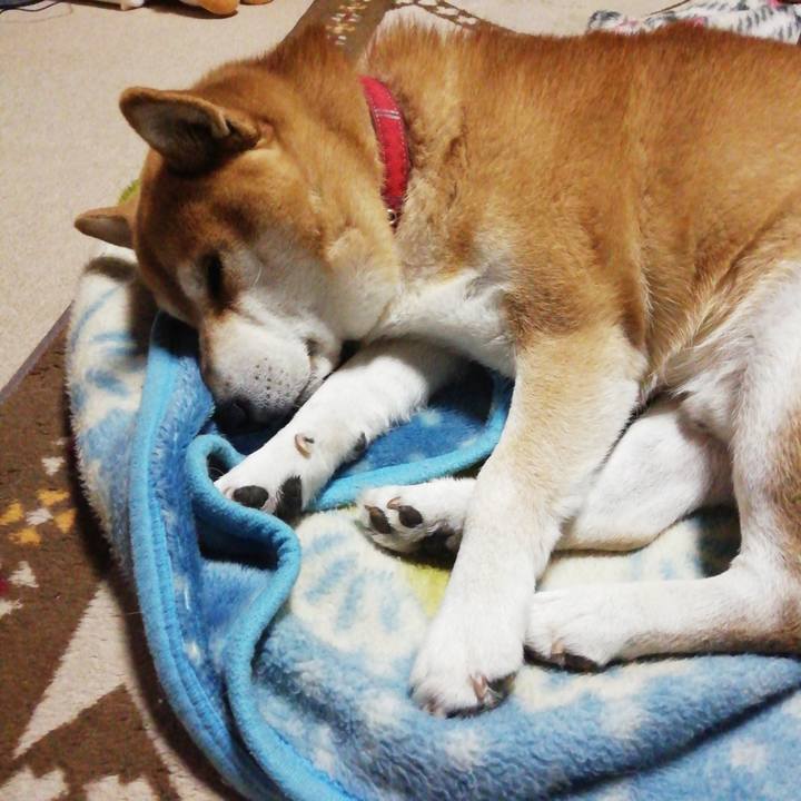 49cd300d b846 4f0c 8d4f 275b0366f279 1610585171938