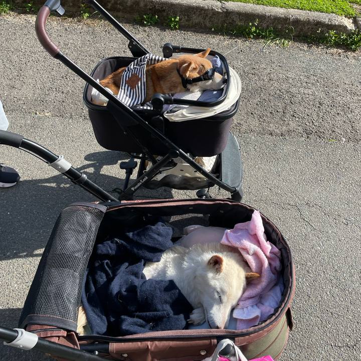 49cd5920 263b 4058 9862 73bc40d31eea 1679221772541