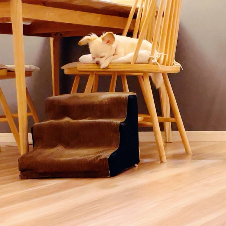 49cd809d 7c00 4de6 90c7 684d8f210ff0 1759410296305