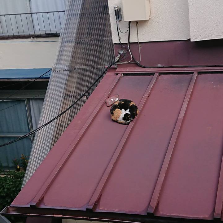 49cda042 4ec7 4ce2 9f67 e2ca21839d3b 1572049354891