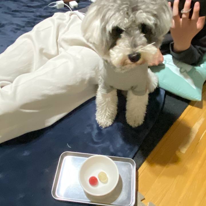 49cdb38f 9736 4133 8034 401925f8fc53 1614957632553