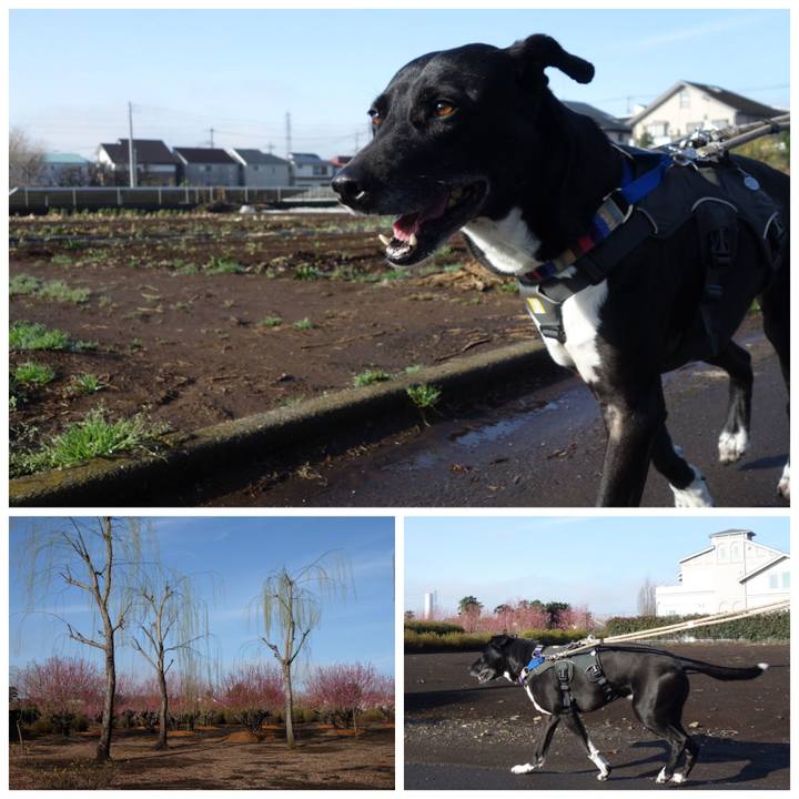 49cdb4cc 9af4 4670 b219 a90e7619c701 1647650361467