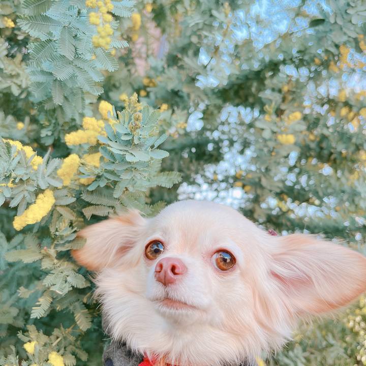 49cdd2ff 25b0 4c4d ac6c e6cda58c147c 1676443476956