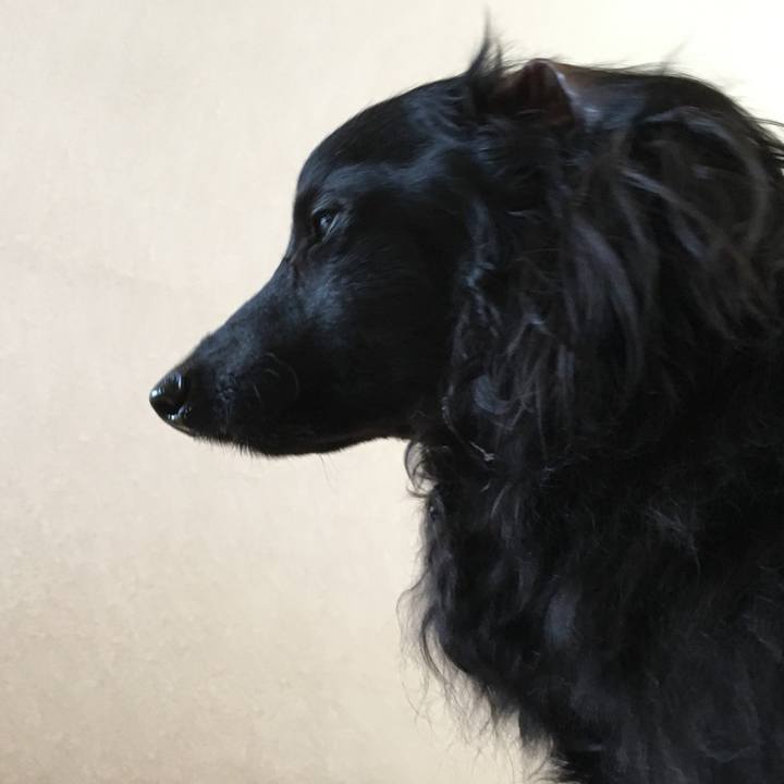 49cde2d1 f037 4359 8dd5 80e209a571df 1703426960368