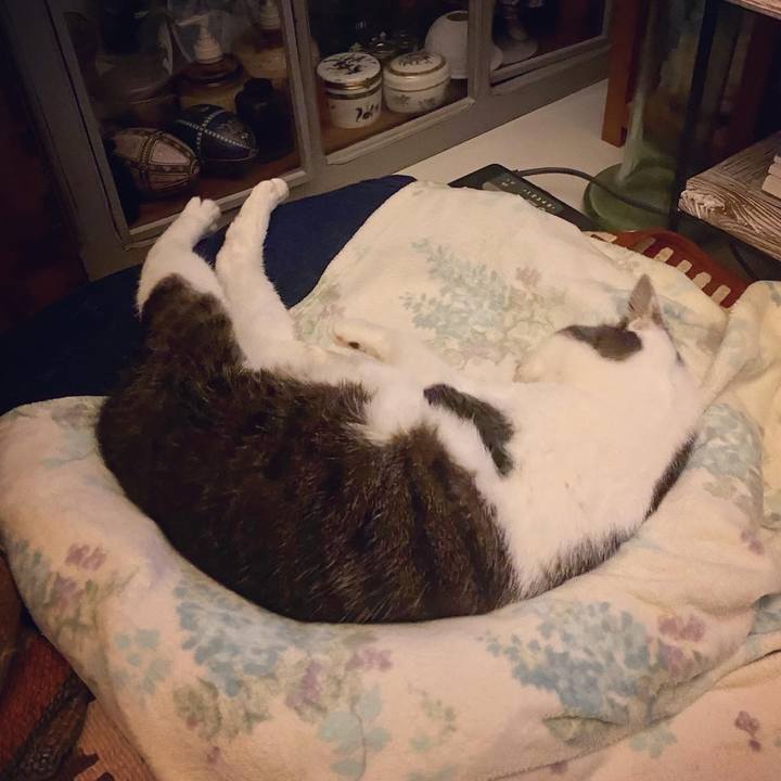 49ce05b0 9212 4d36 9453 d0b551b9a0db 1611844163493