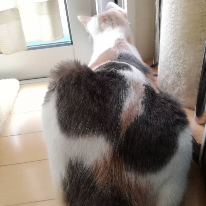 49ce266d 0fc6 41fb b932 7028becc4965 1528165406641