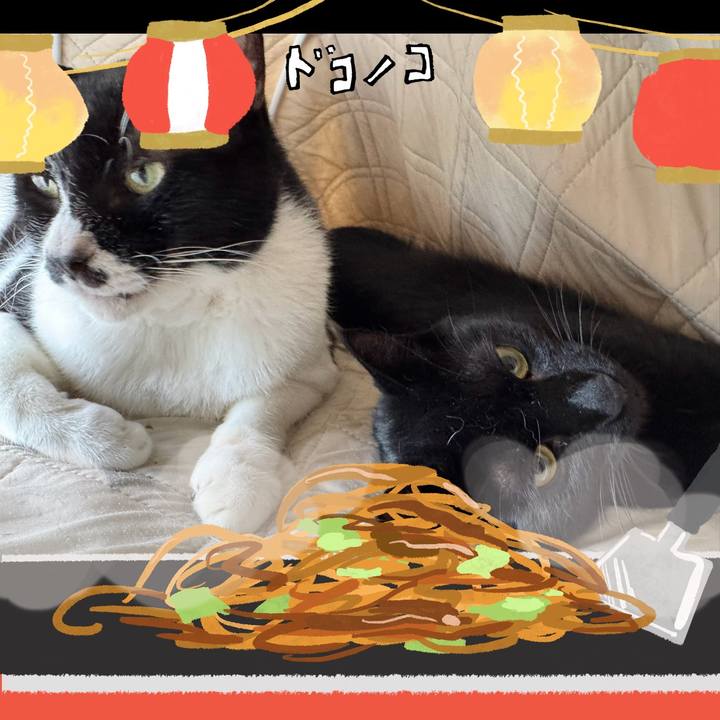 49ce57c1 bd18 4481 8c8a 2275ac47accc 1755052424542