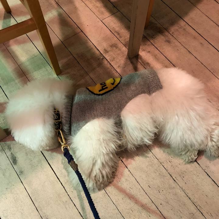 49ce6733 215c 4e71 b4bc 3e1d81eed6cc 1513247081747