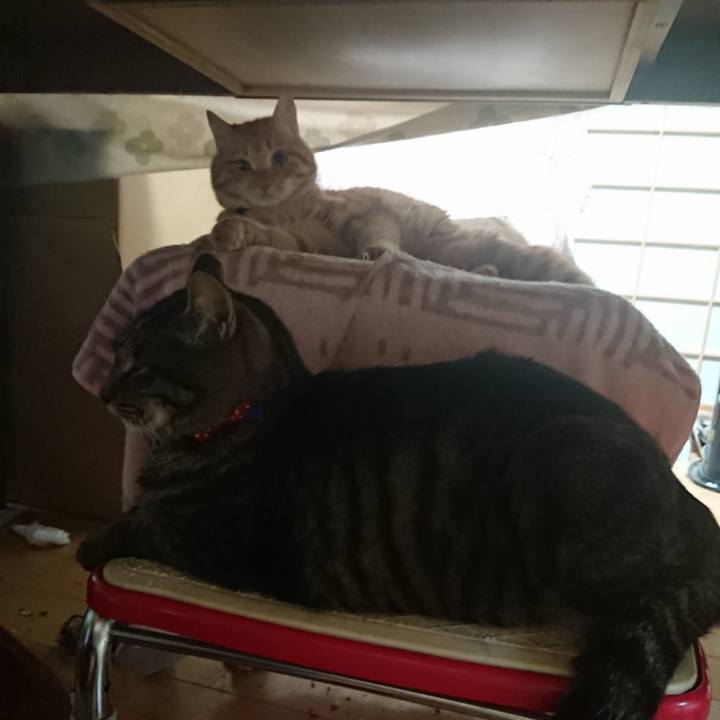 49ce675b a58c 4ed9 a66c 44a9f95522d7 1654462927722