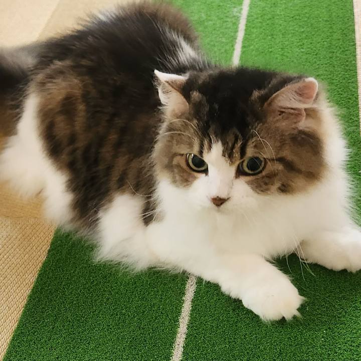 49ce7660 21da 43ce 9183 2406b4596f47 1696026201404