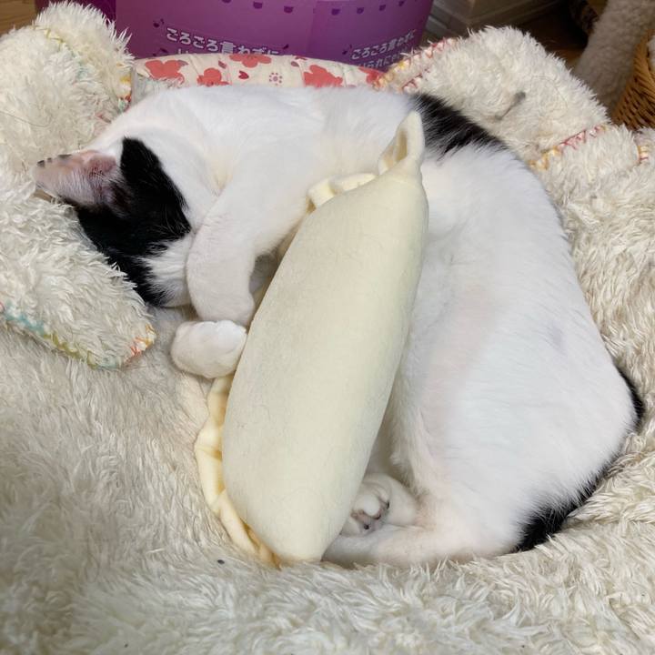 49cea47f e48b 45ab a7e4 dd709125a678 1773749883162