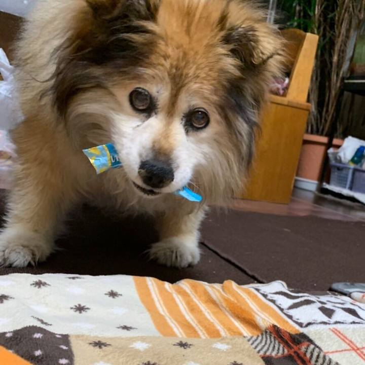 49cebdd0 deb6 4b90 ab7d 604d0173d4e6 1570581205764