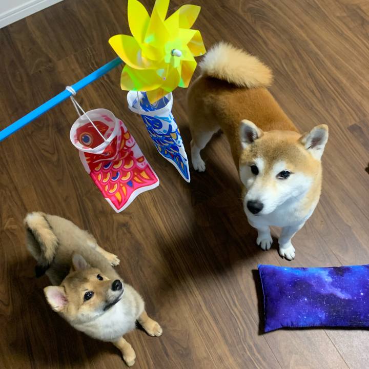 49cec515 bad6 4557 8b66 789e01aefc1a 1620204653825