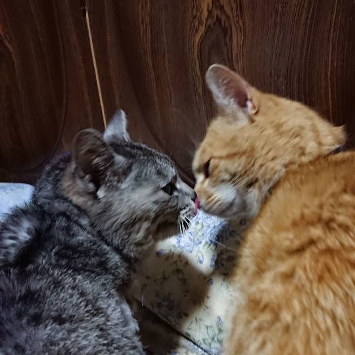 49ceebd2 373f 41a4 818a b3beee2c3de1 1589976576015