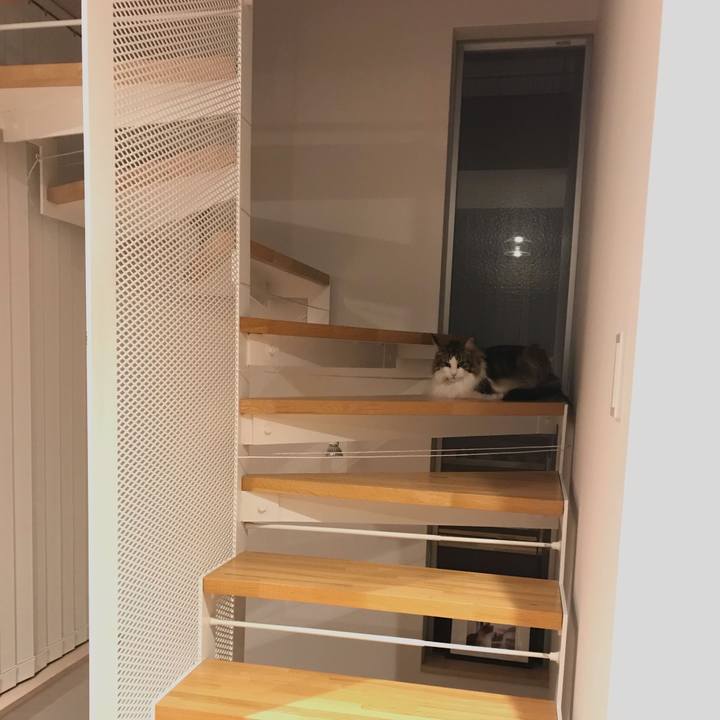 49cf42cf 2f53 47c0 ac3f aa274885532e 1658578252543