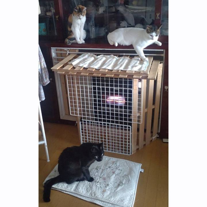 49cf4572 5456 41f7 b41c 67cc0f77dd97 1758494962101