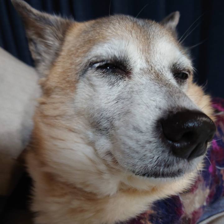 49cf71f1 7874 48c7 963f badbdc202483 1675339175951