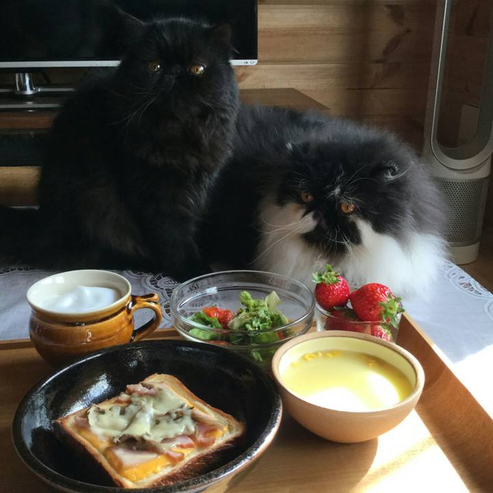 49cf733a cfcd 4f89 82ad cdd4db395970 1518314219176